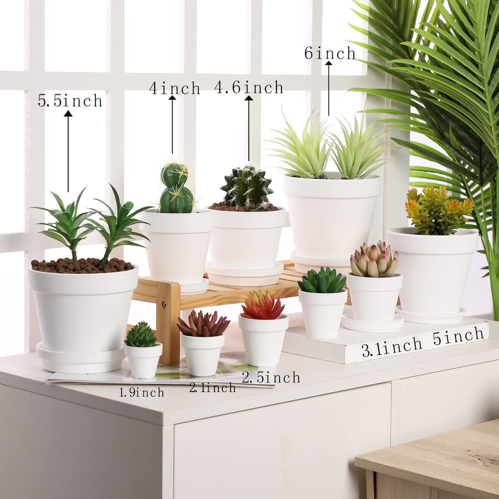 Yishang in-use scene with succulents in pots on a sunny windowsill encouraging healthy growth