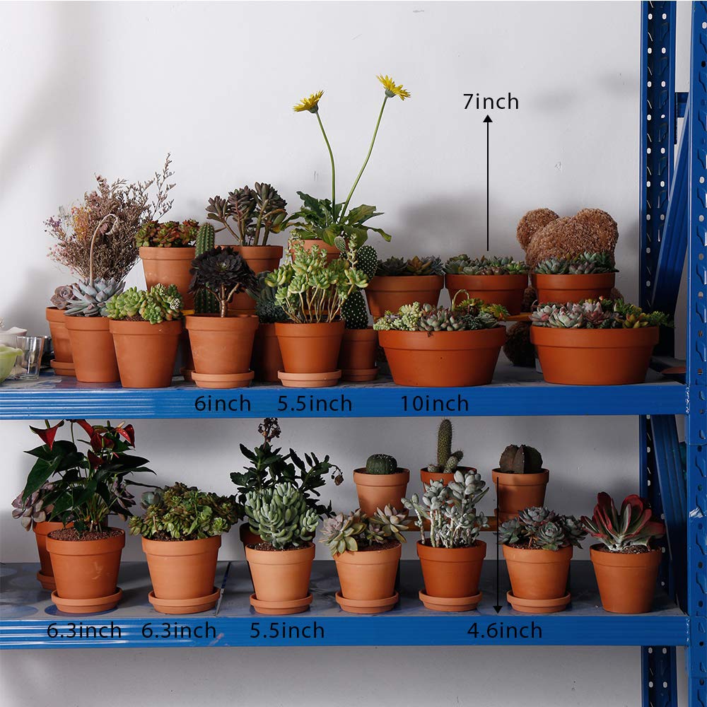 Yishang planted pot in use showing drainage and healthy succulent display