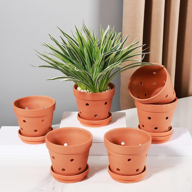 Yishang pot with saucer holding an orchid, protecting surfaces and simplifying watering