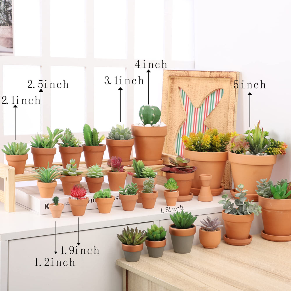 Yishang mini pot planted with a succulent demonstrating proper drainage and compact display