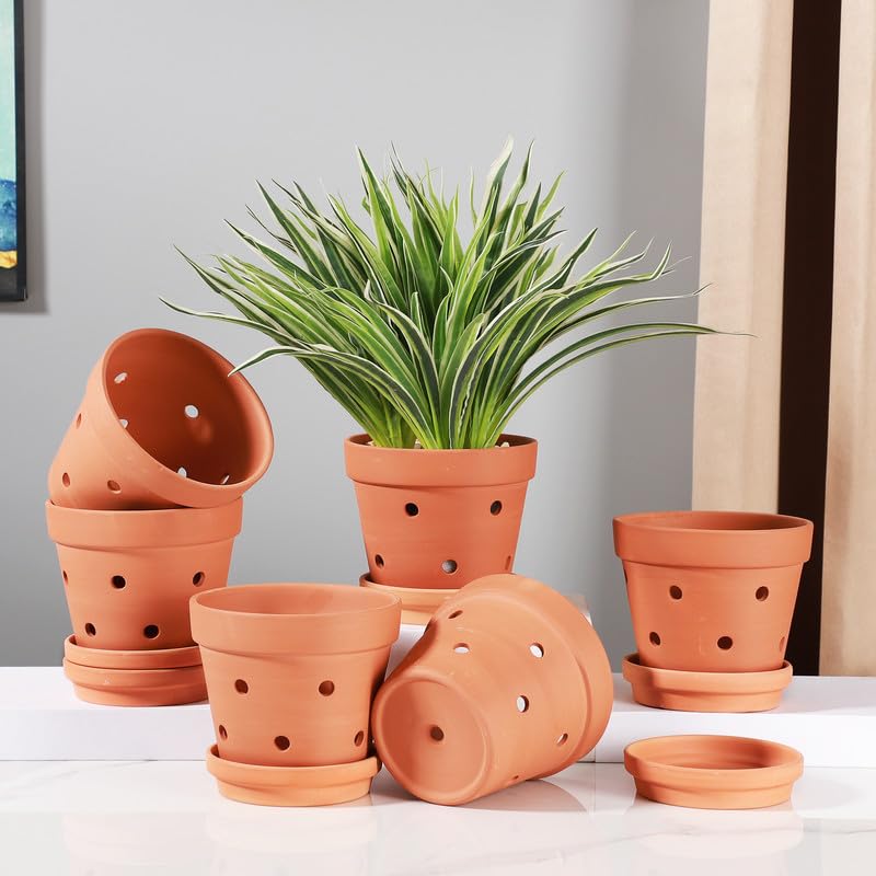 Yishang detailed side vents promoting airflow and healthier orchid roots