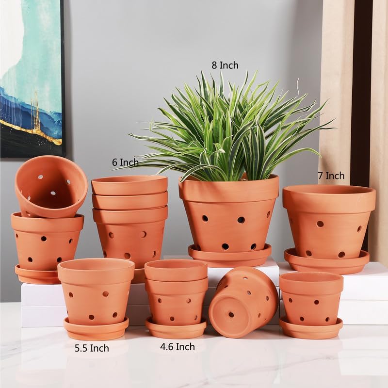 Yishang pot held in hand for scale to show ideal small-to-medium orchid size