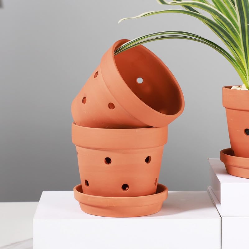 Yishang profile showing matching saucer that protects surfaces from runoff