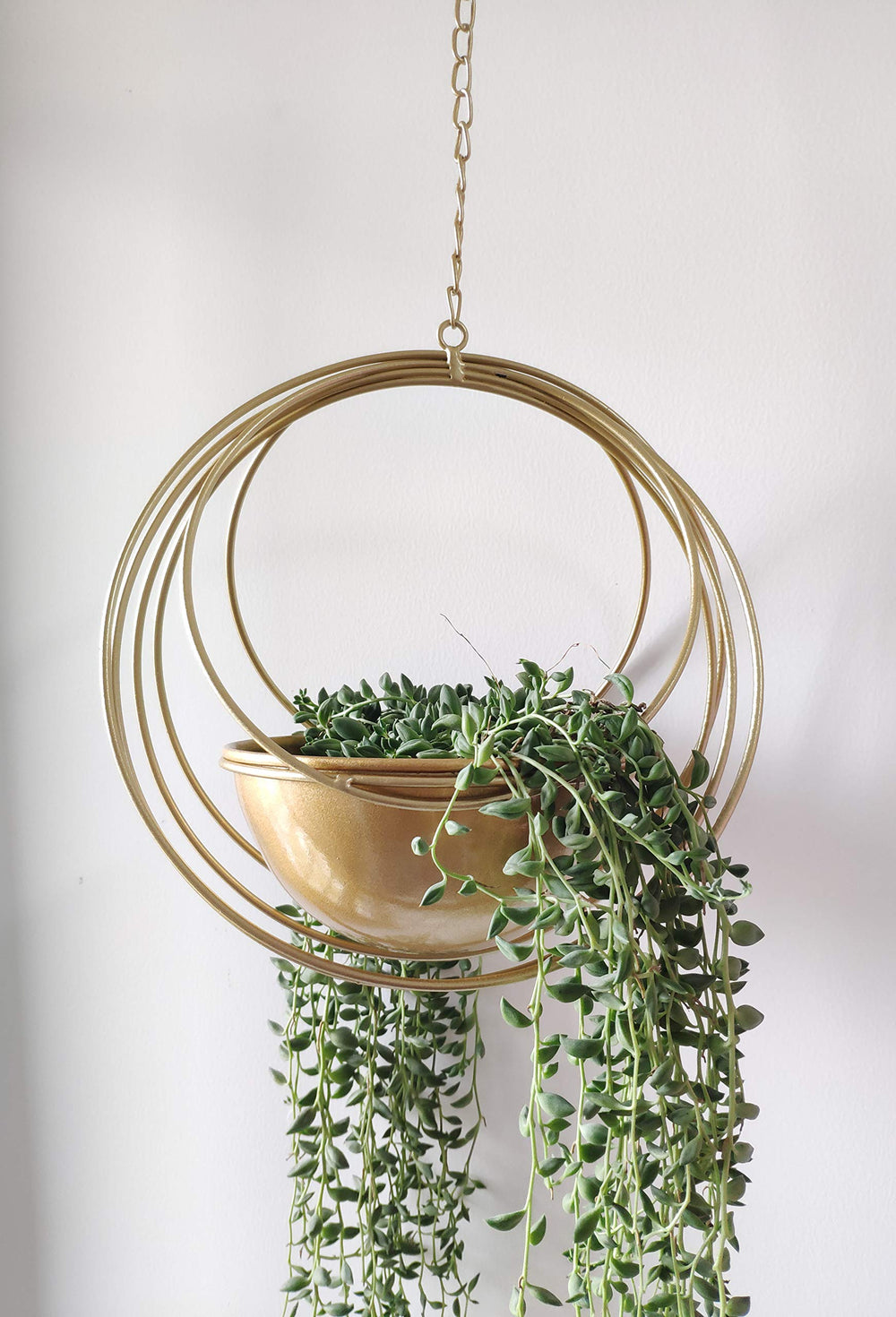 YISSEN RISEON front view showing gold geometric planter and modern style benefit