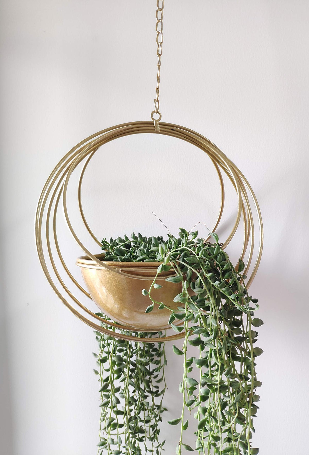 YISSEN RISEON front view showing gold geometric planter and modern style benefit