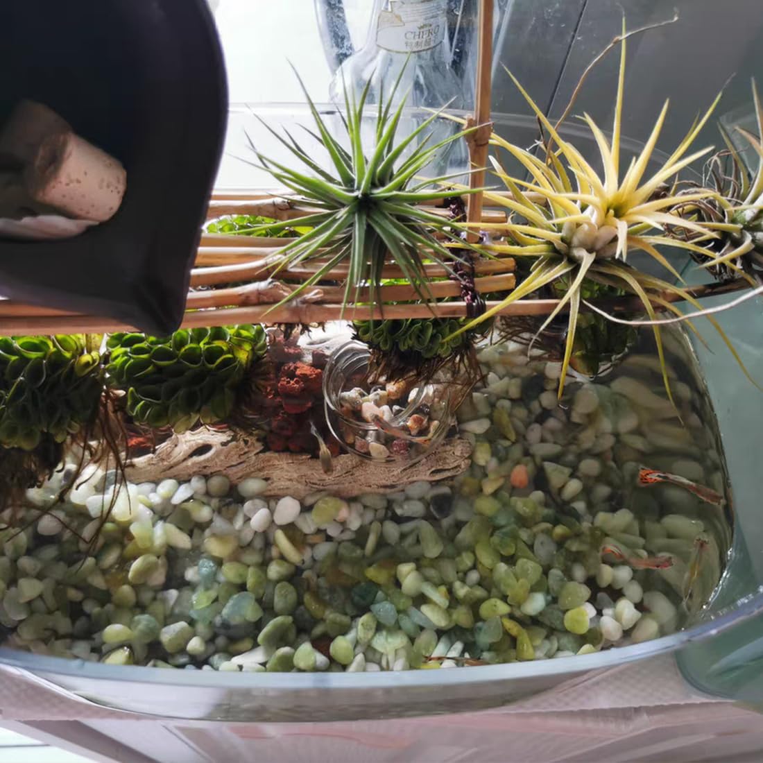 YISZM pebbles in glass terrarium demonstrating decorative layering benefit