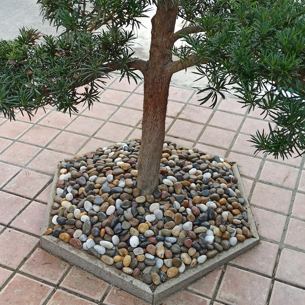 YISZM pebbles topping a ceramic planter to retain moisture and enhance aesthetics