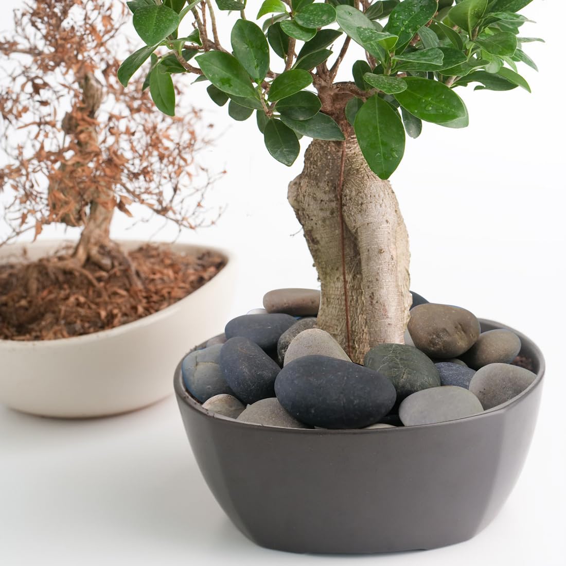 YISZM pebbles in vase for tabletop decor giving lasting visual interest
