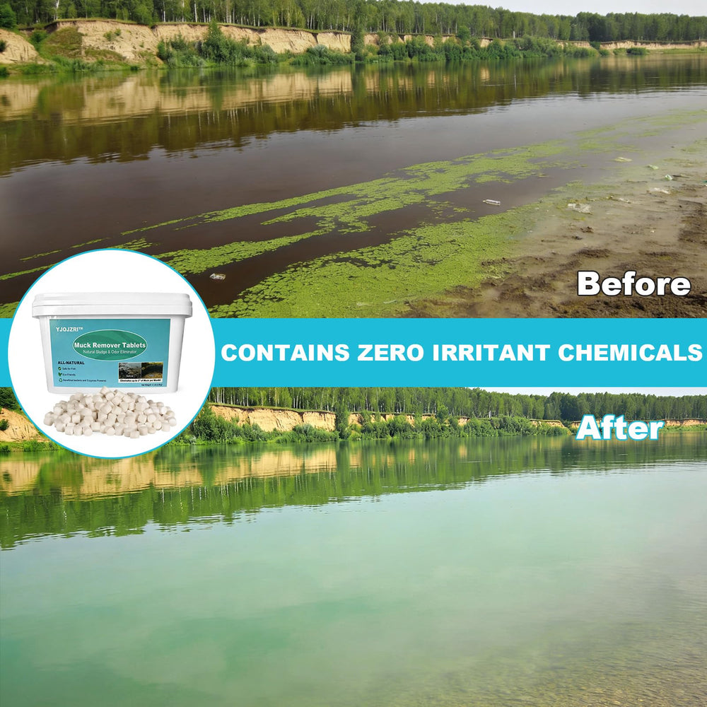 YJOJZR tablets near koi pond edge being safe for fish and plants