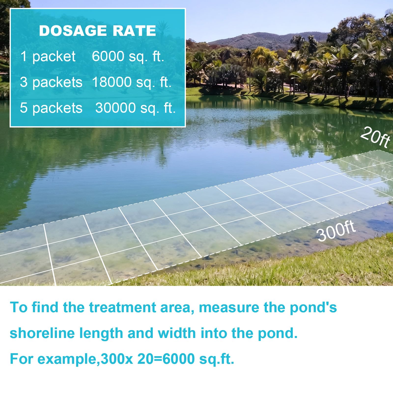 YJOJZR tablets settling in pond sediment, helping break down muck at the source