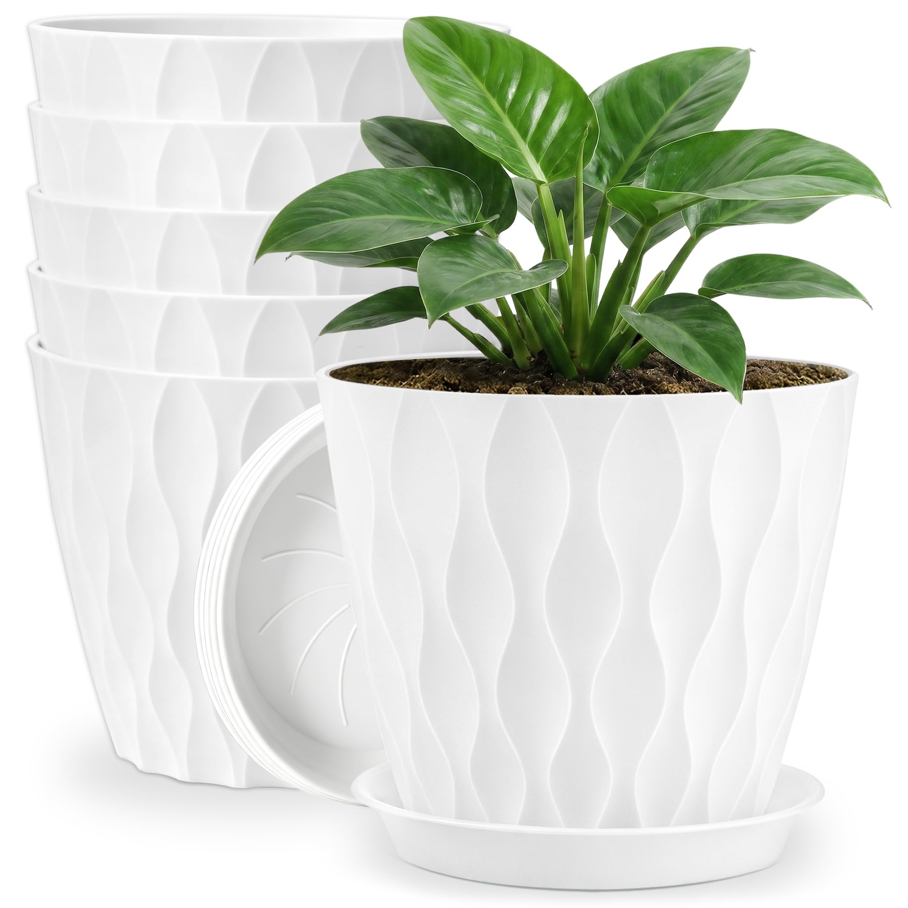 YNNICO front view of white 8-inch planter showcasing minimalist style and balance