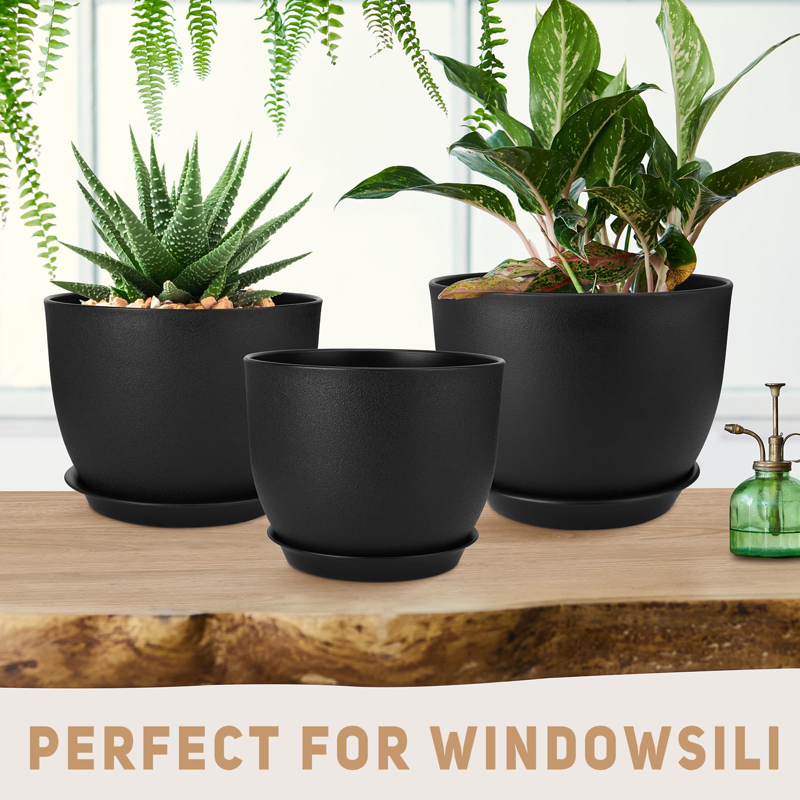 YNNICO planted pots on a windowsill demonstrating attractive indoor decor