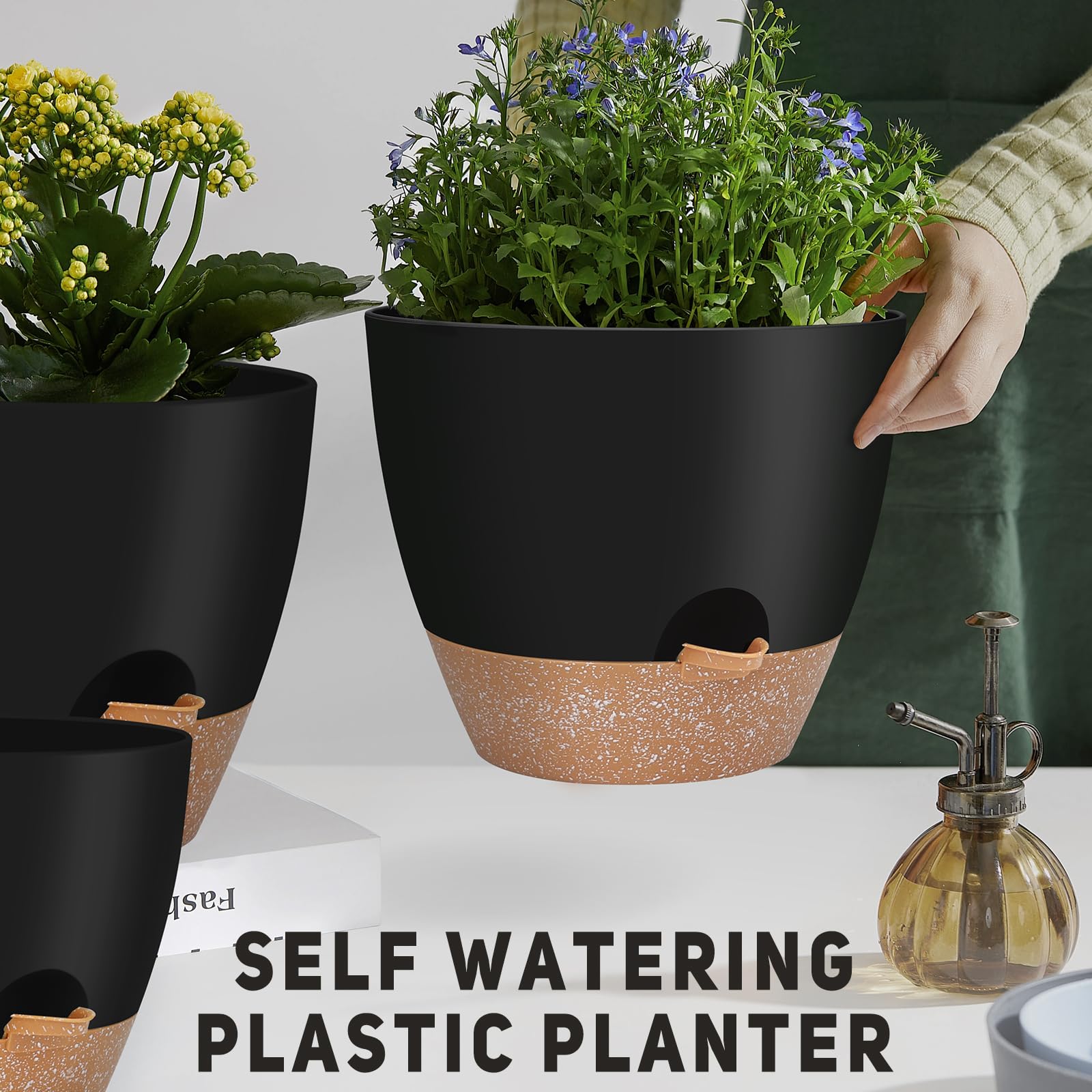 YNNICO indoor styling with a potted plant showing organized, low-maintenance greenery
