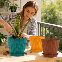 YNNICO pots on windowsill with houseplants demonstrating bright indoor decor benefit