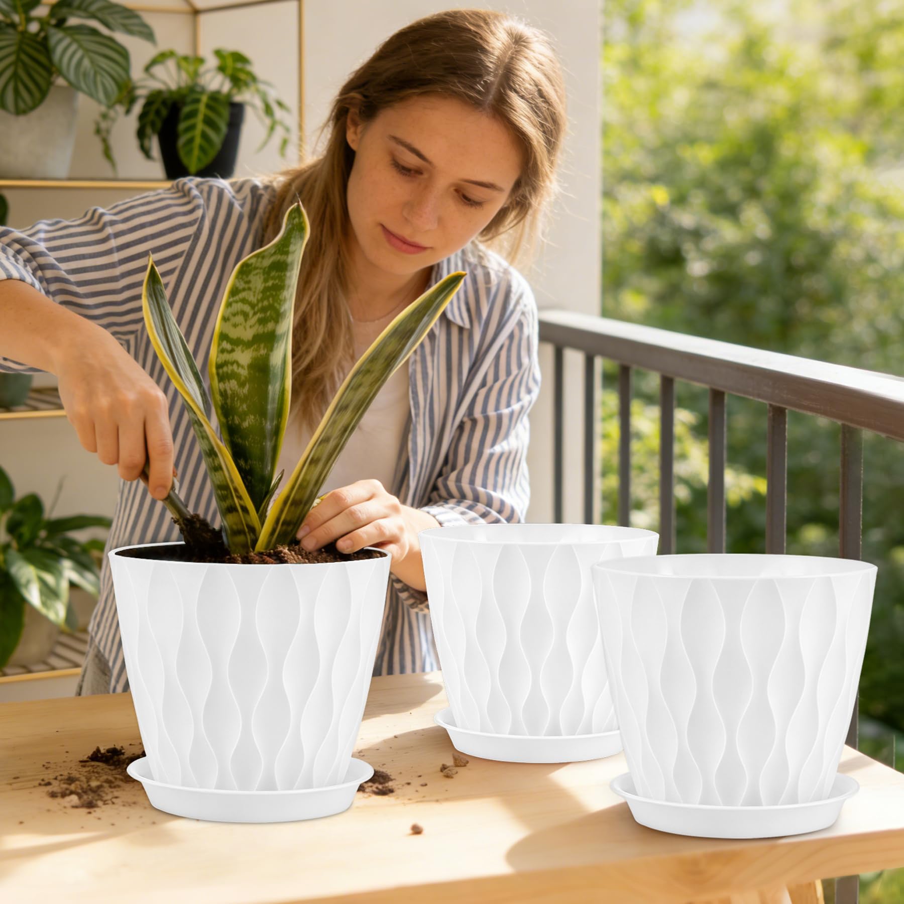 YNNICO planters in a windowsill display highlighting easy indoor styling