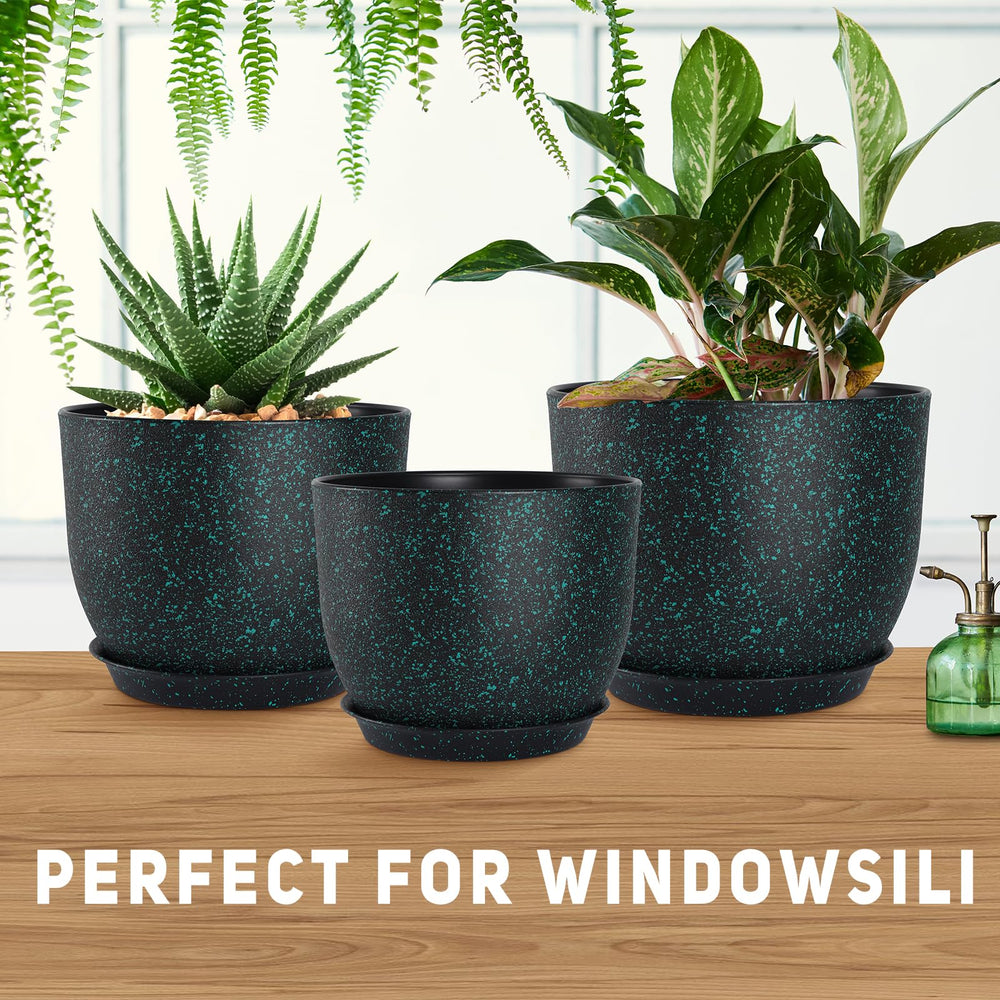 YNNICO set in window sill demonstrating attractive indoor styling