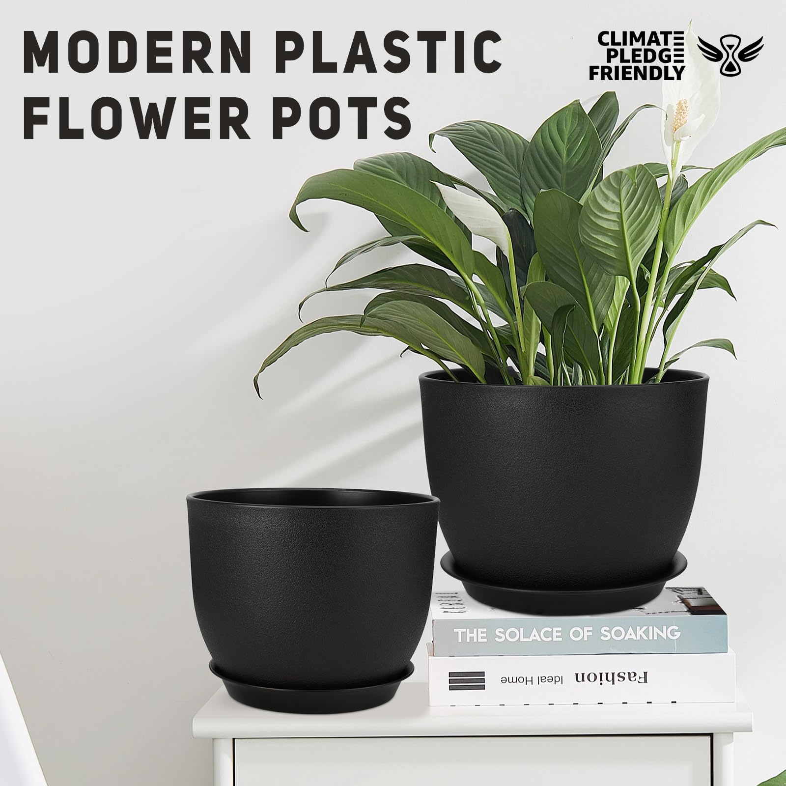 YNNICO removable tray and reservoir showing easy bottom-watering convenience