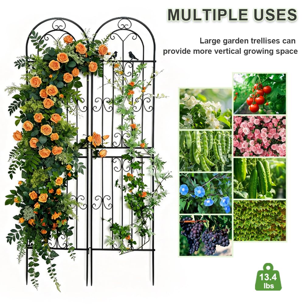 YOBAZAN trellis next to person illustrating 86.7-inch height for scale