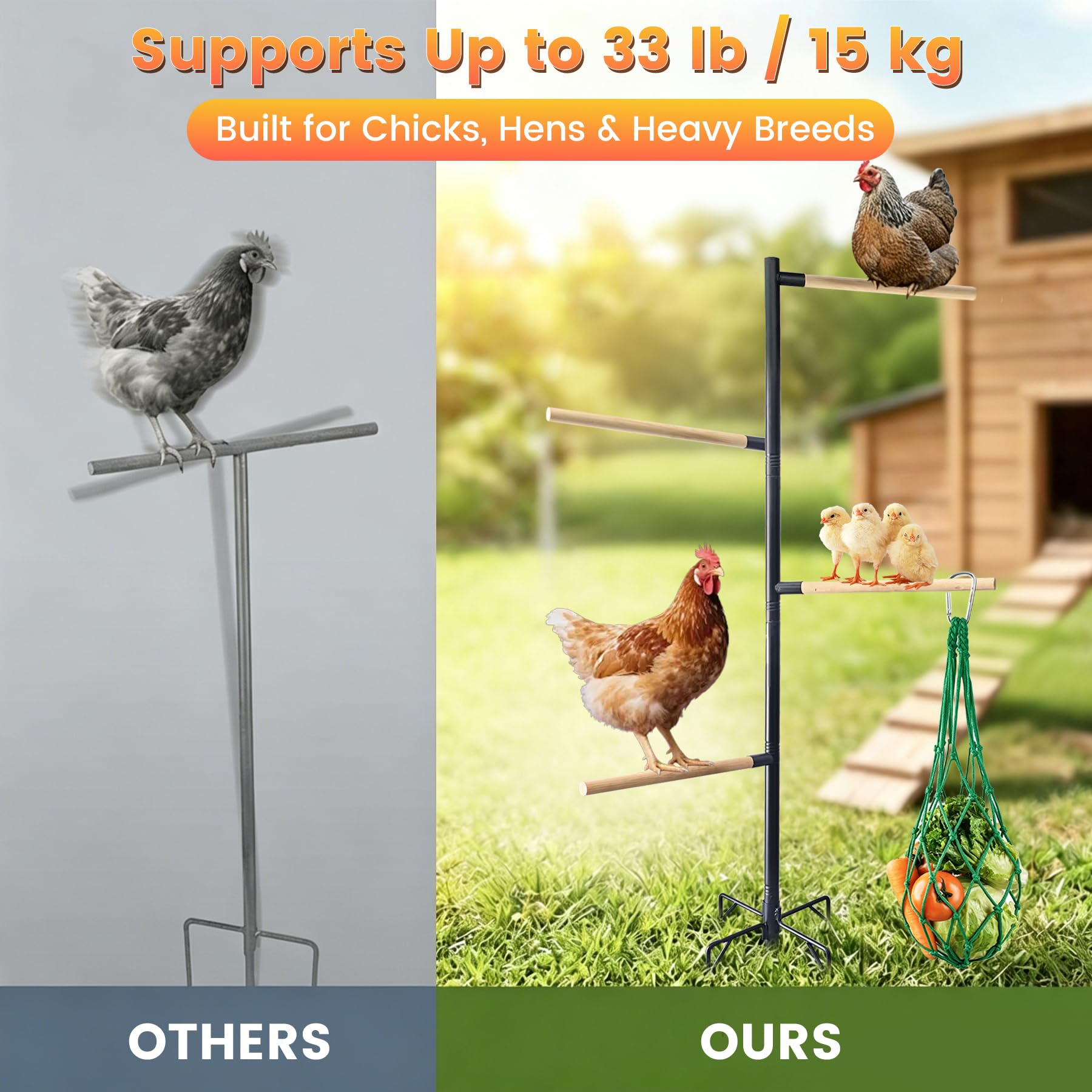YOFSZJ hanging feeder with vegetables adding enrichment to chicken routine