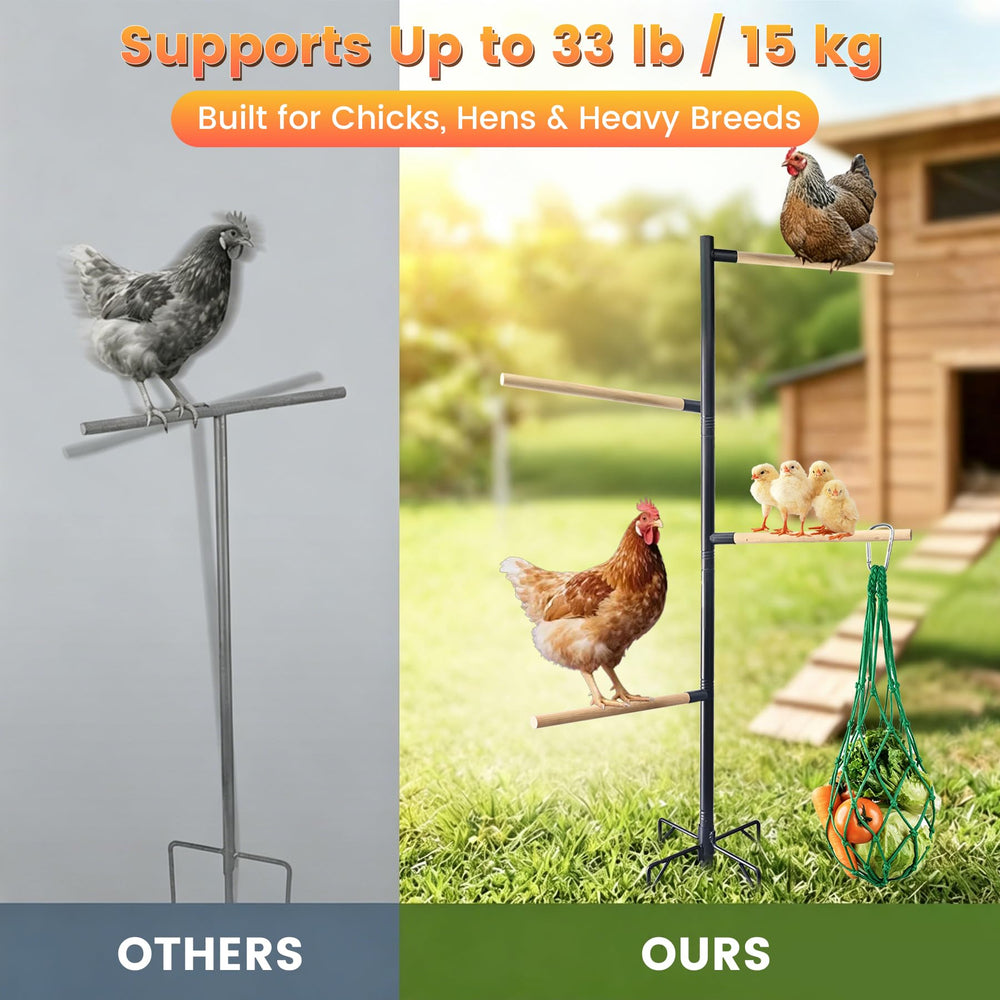 YOFSZJ hanging feeder with vegetables adding enrichment to chicken routine