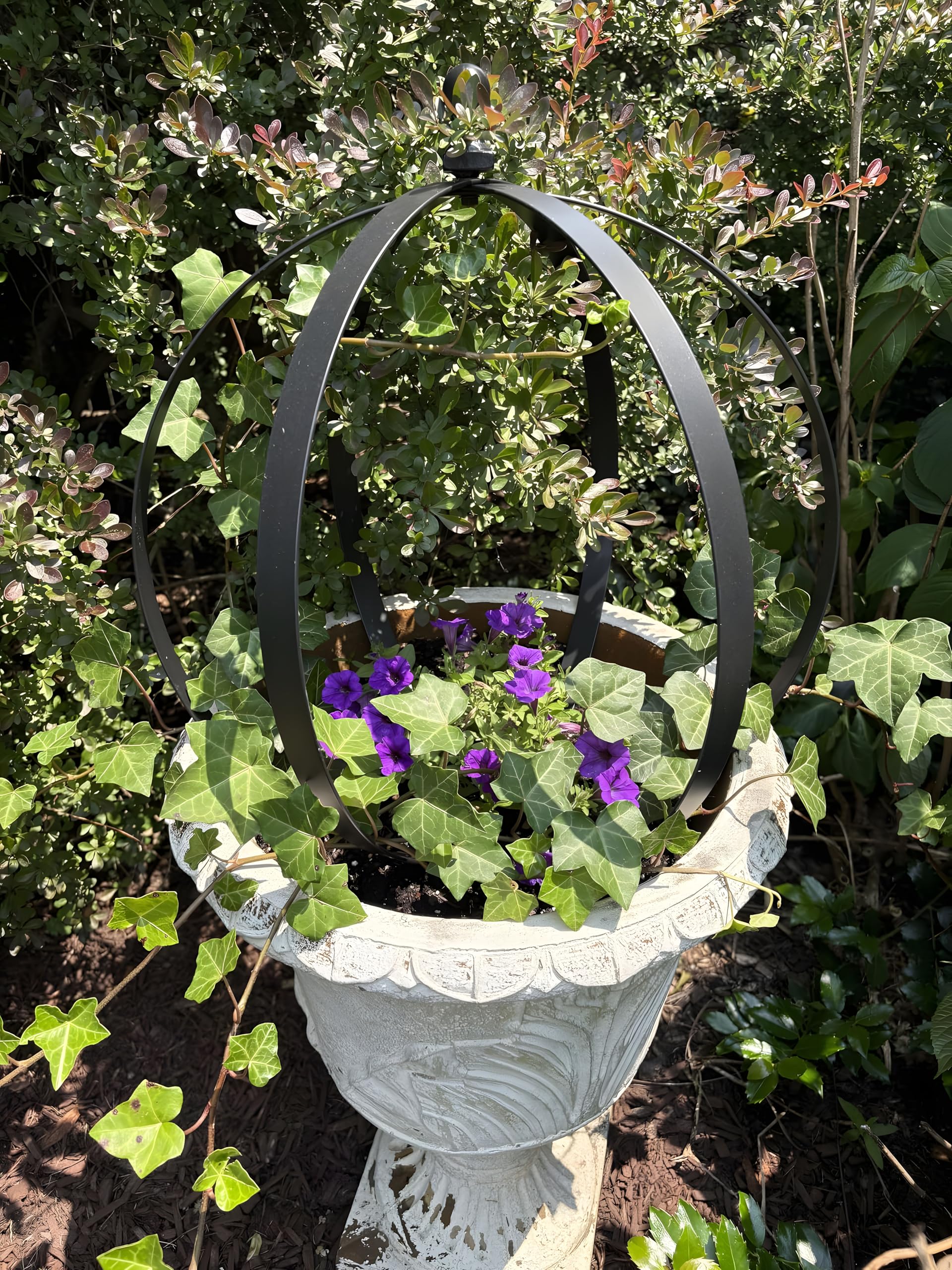 Yohsnor obelisk placed in a container garden demonstrating compact size and improved planting density