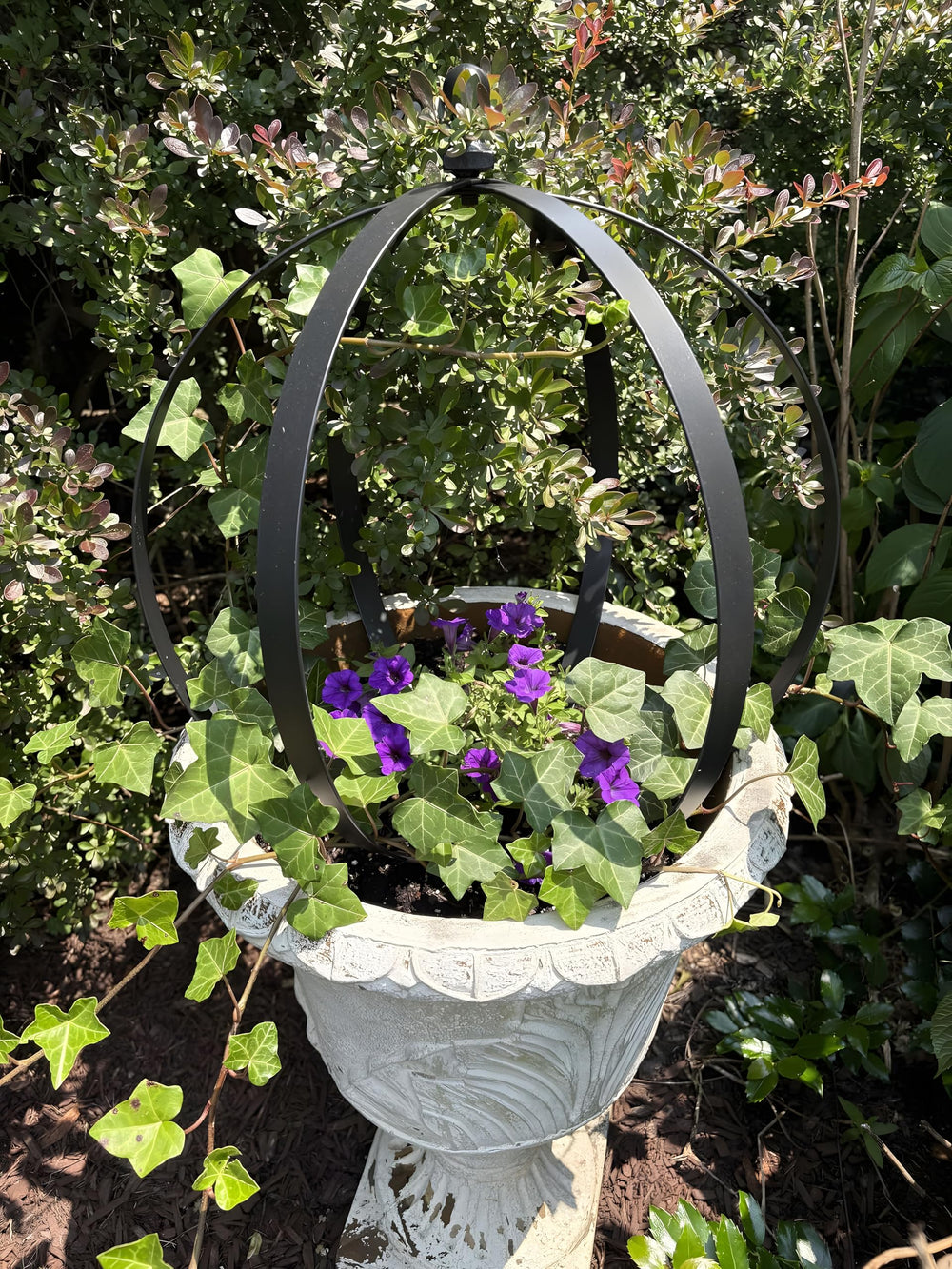 Yohsnor obelisk placed in a container garden demonstrating compact size and improved planting density