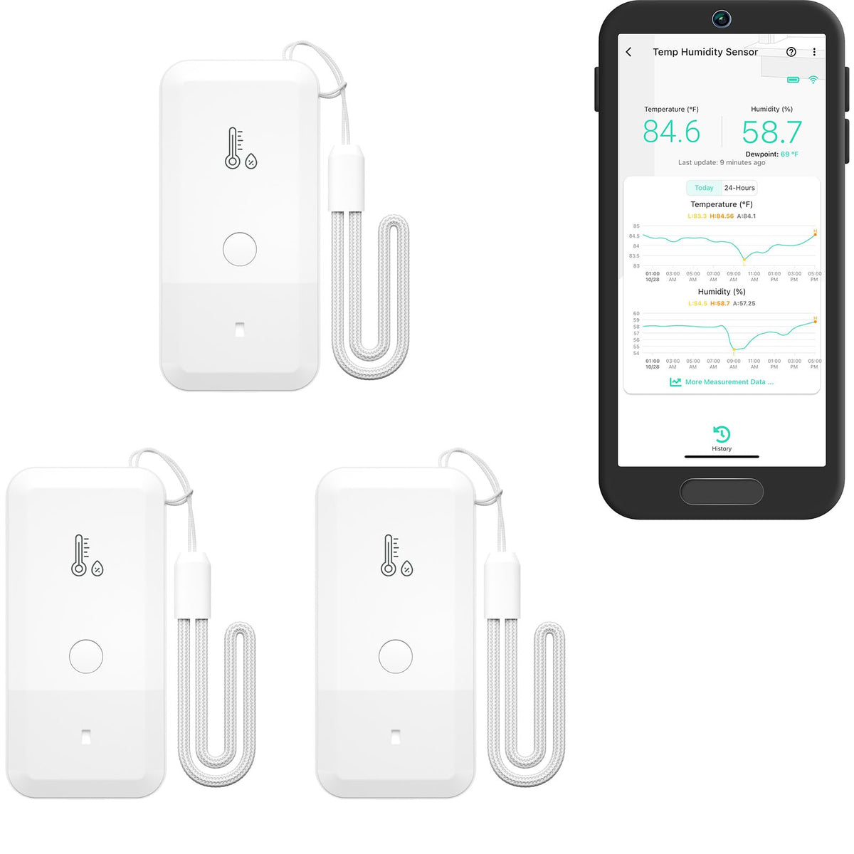 YoLink front packaging showing sensor trio and key specs, clear product overview