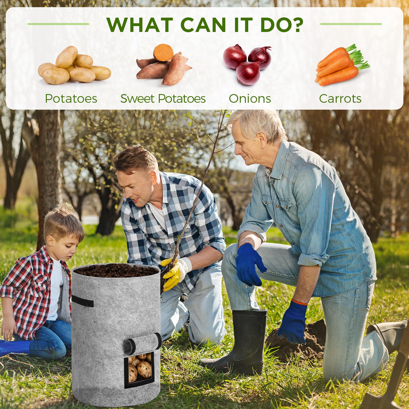 Yoojahow grow bag filled with potatoes and tomato plant demonstrating harvest access