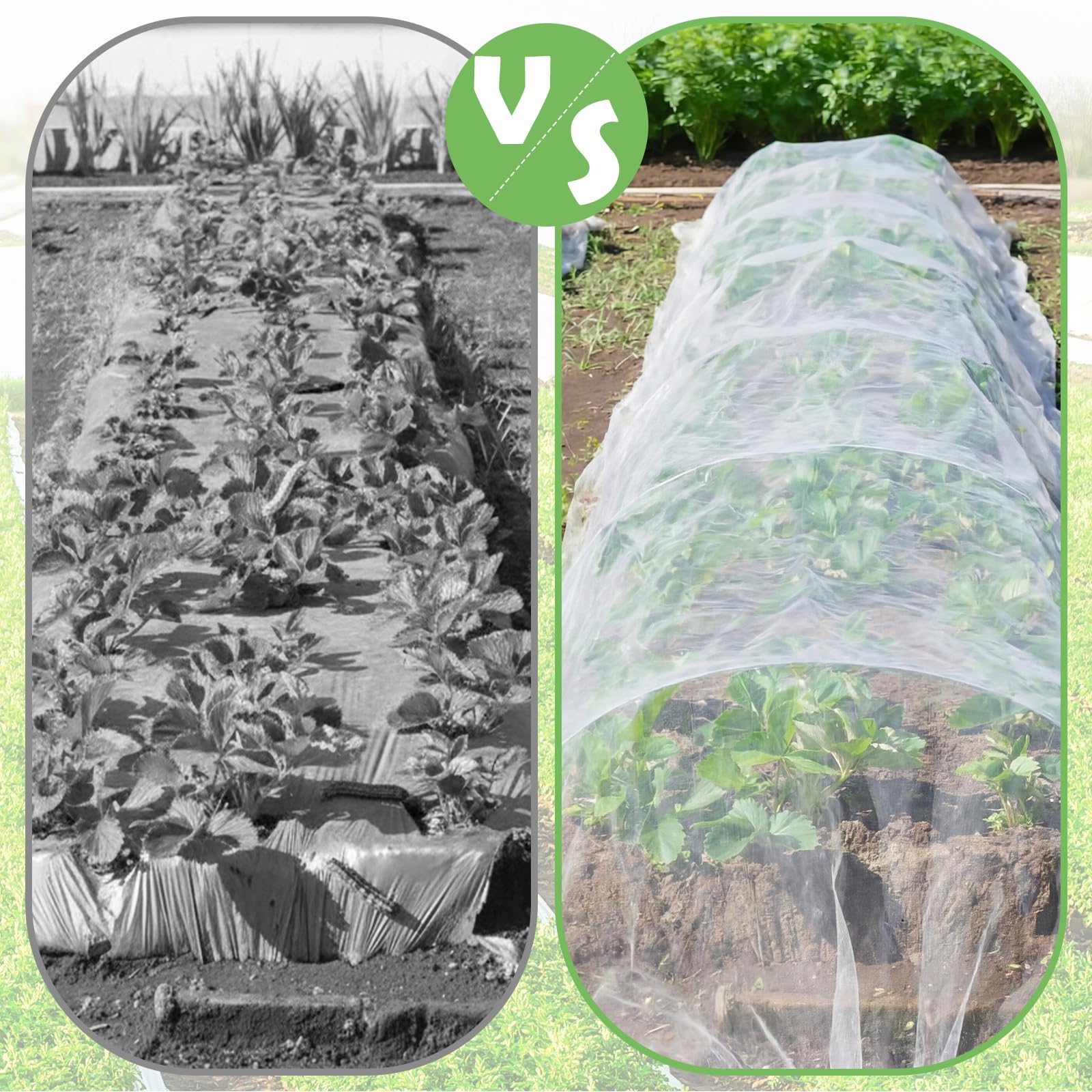 Yoojahow net draped over raised bed protects crops and allows rain