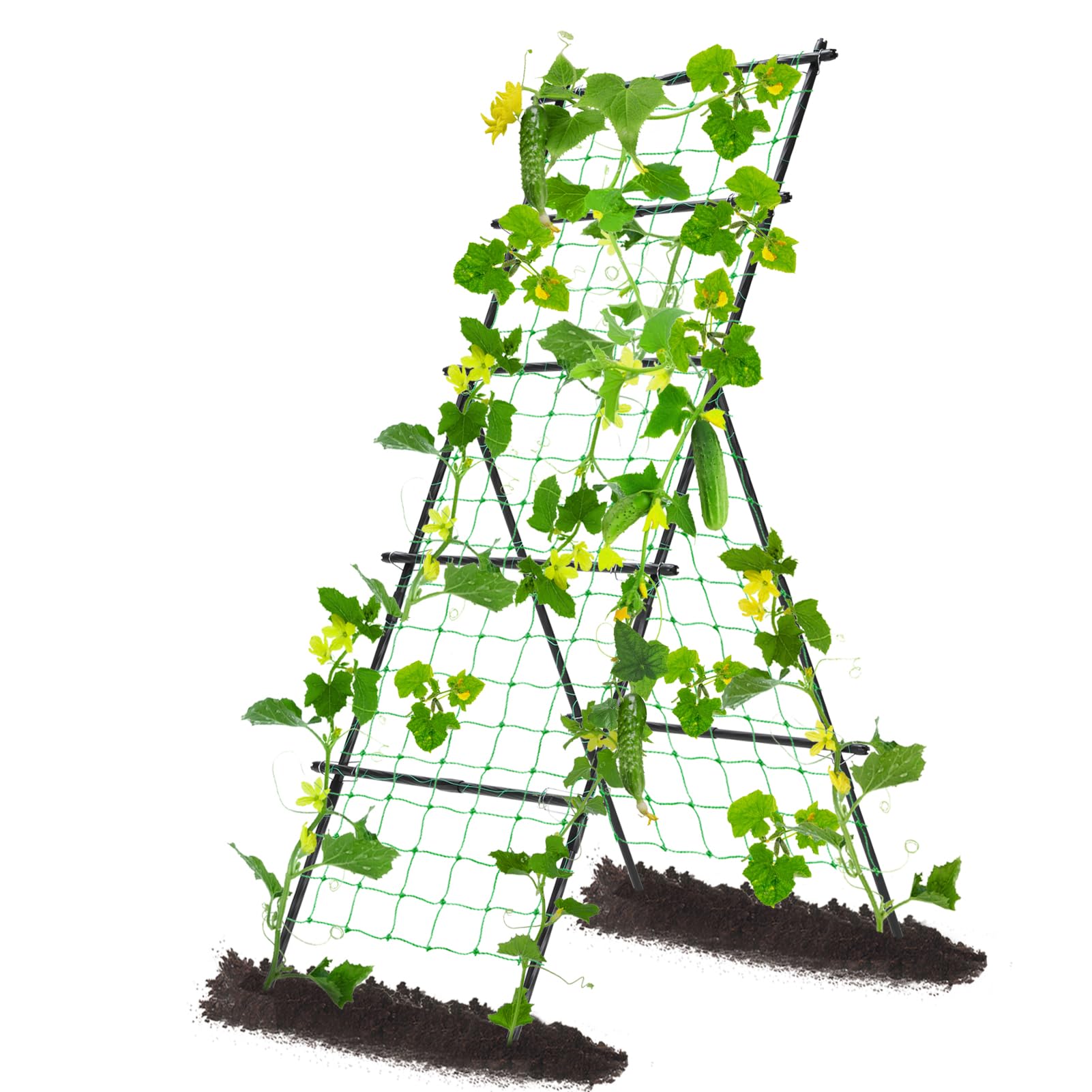 yotoworth front view of A-frame trellis showing dual-sided support and space saving