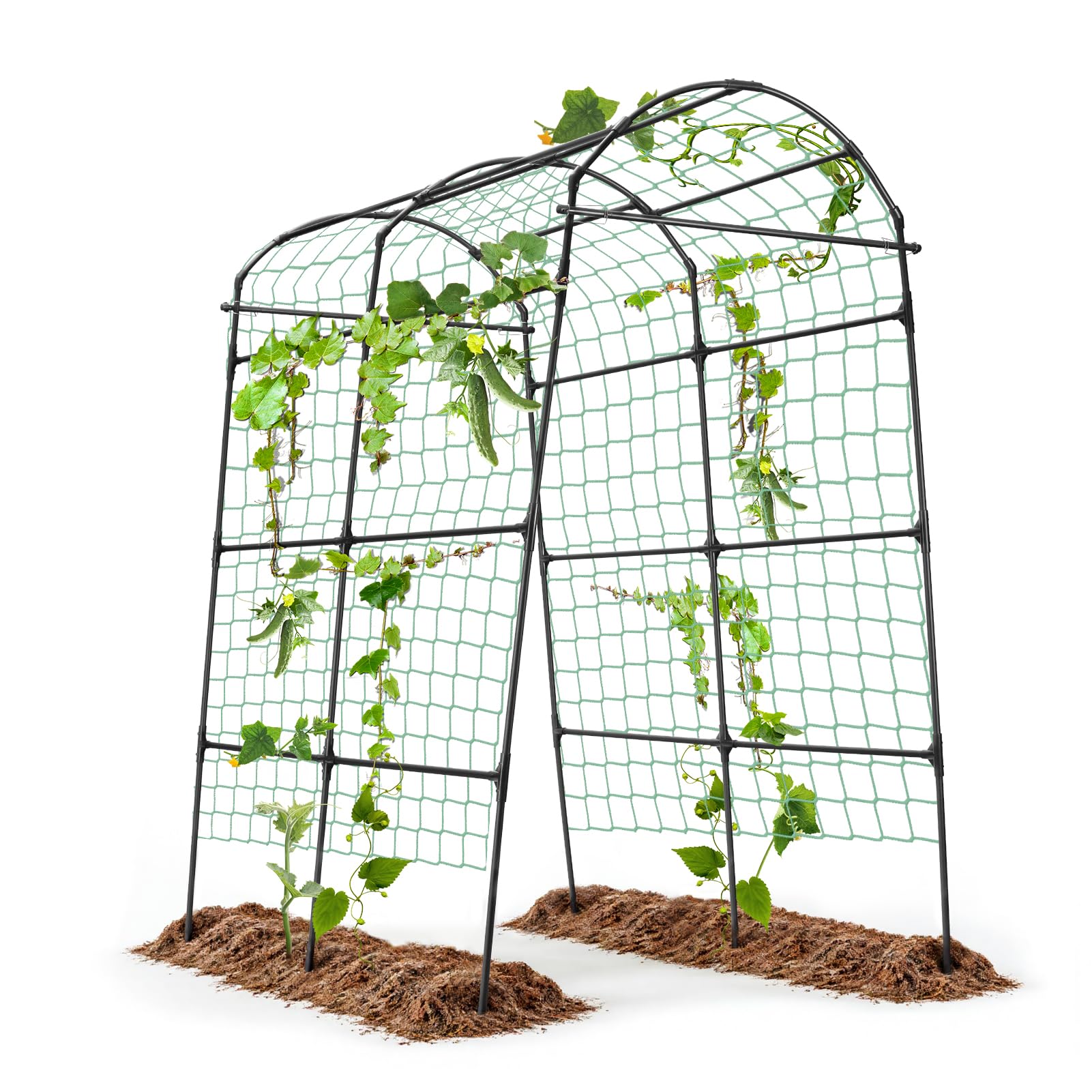 yotoworth arch front view showing full height and garden entrance benefit