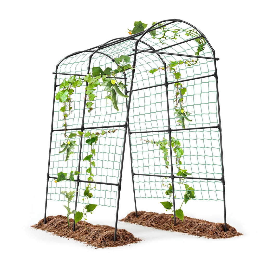 yotoworth arch front view showing full height and garden entrance benefit