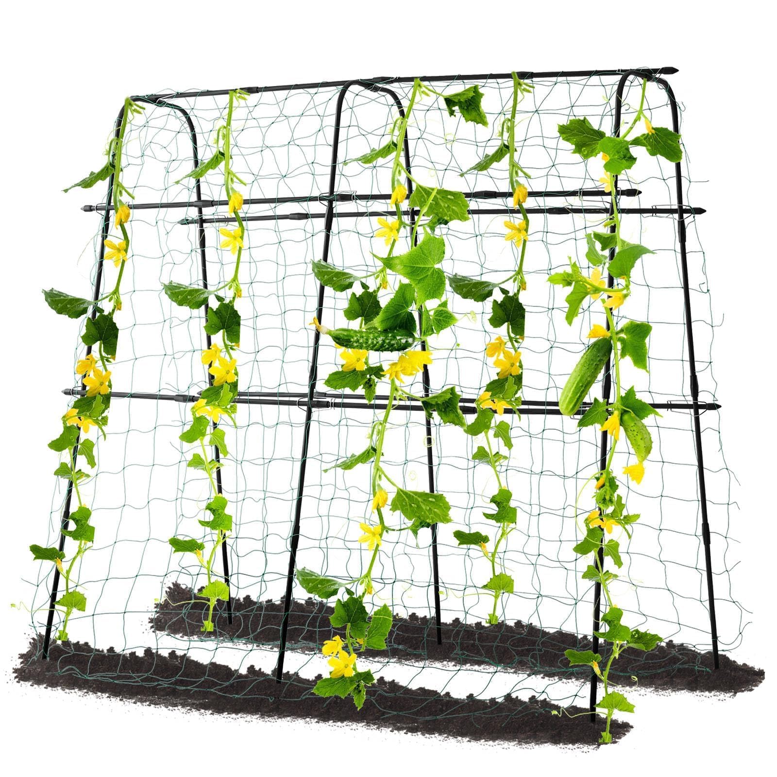 yotoworth front view in raised bed showing vertical space benefit