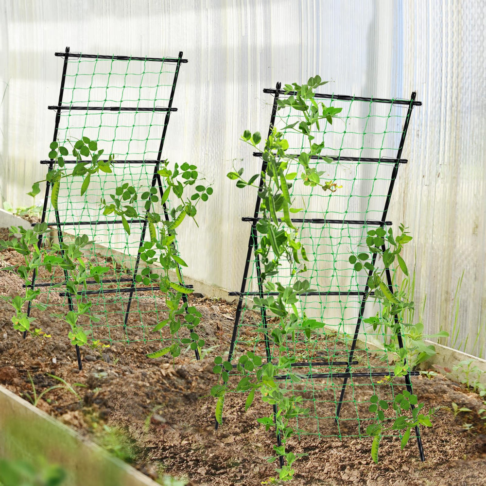 yotoworth trellis in garden lifestyle setting showing raised bed integration and sunlight exposure