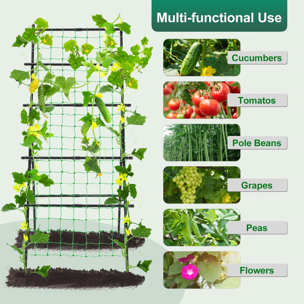 yotoworth trellis in use with cucumbers demonstrating cleaner fruits and easier picking