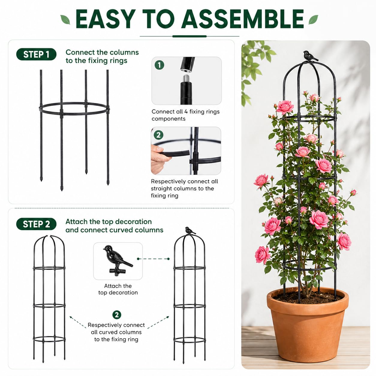 yotoworth packaging with two trellises highlighting convenient two-piece pack