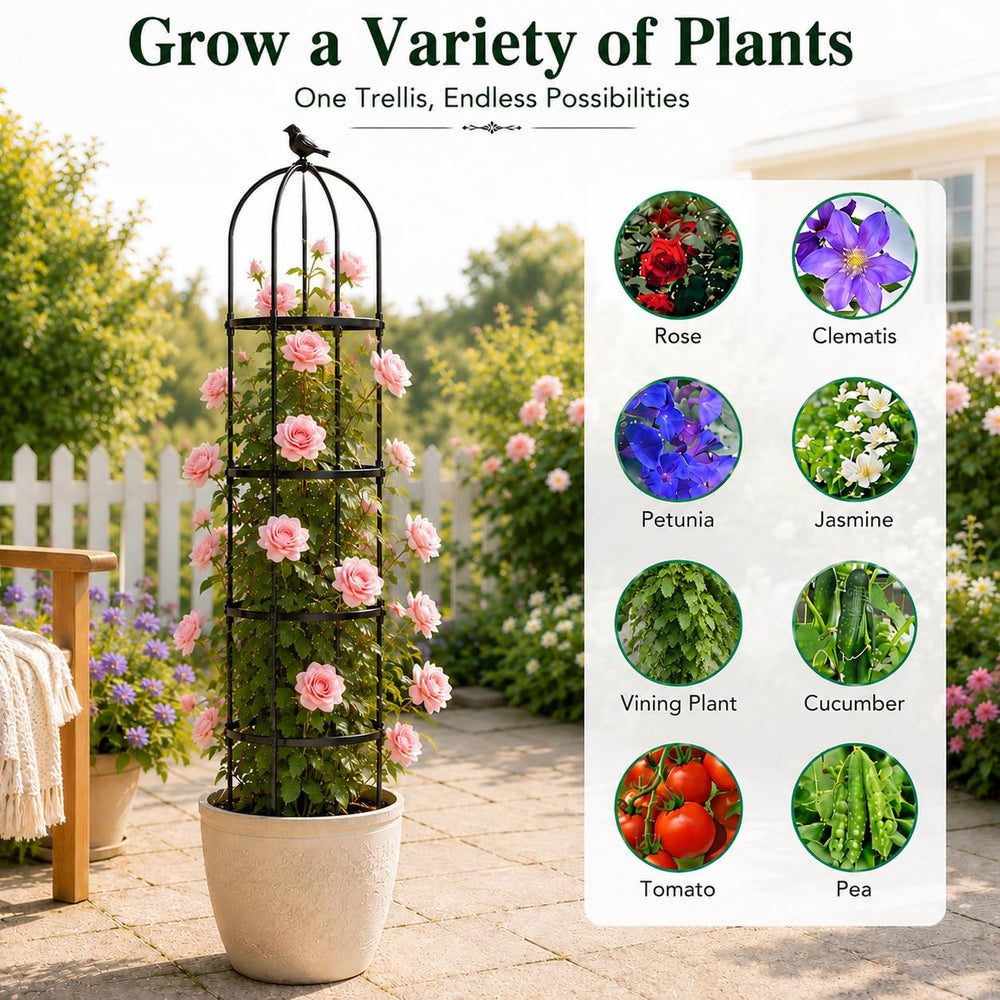 yotoworth scale next to shovel showing 6.3 ft height for proportional planting