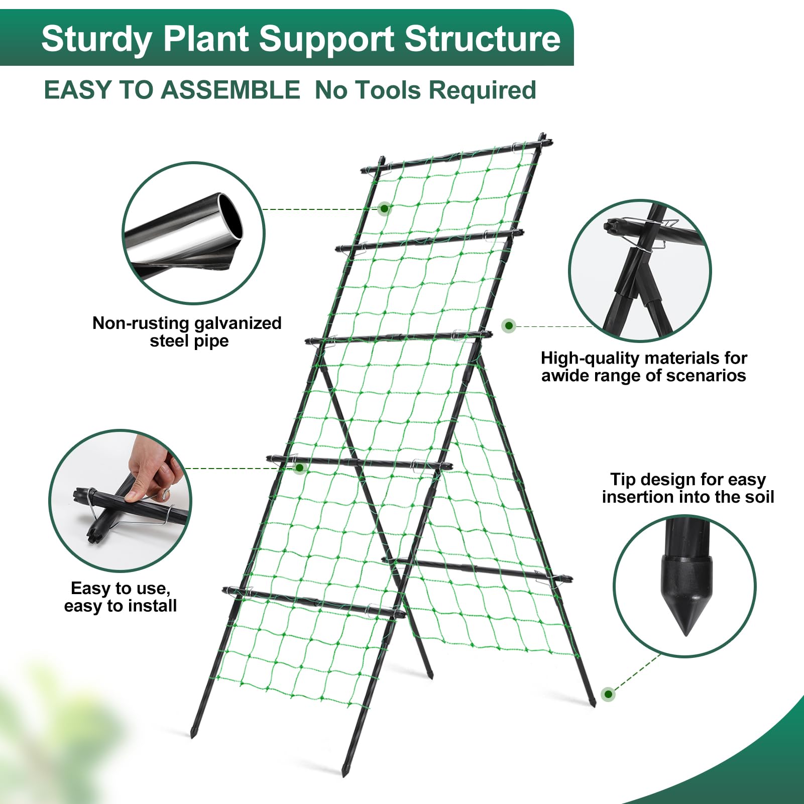 yotoworth trellis height comparison with person showing 75-inch scale and clearance