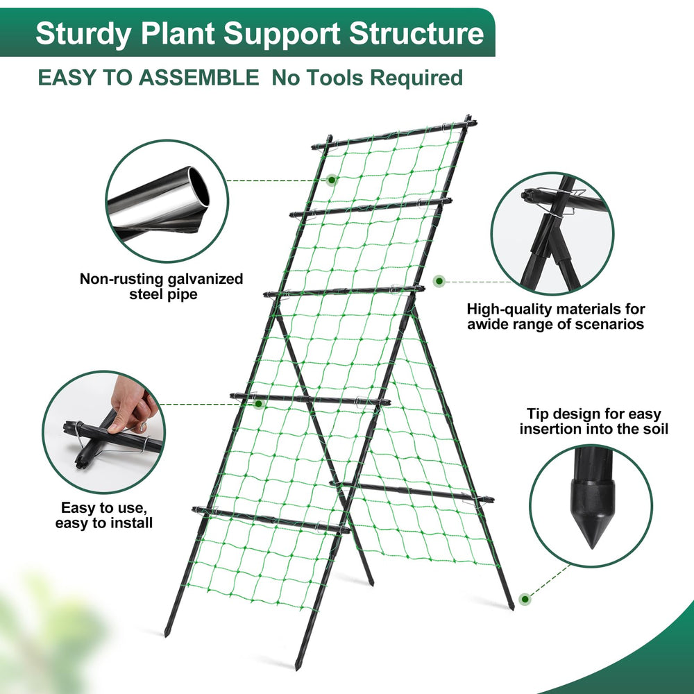 yotoworth trellis height comparison with person showing 75-inch scale and clearance