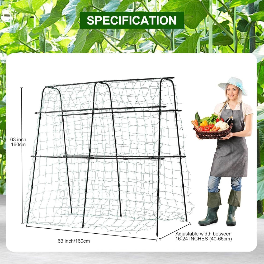 yotoworth trellis with cucumbers demonstrating easier harvesting