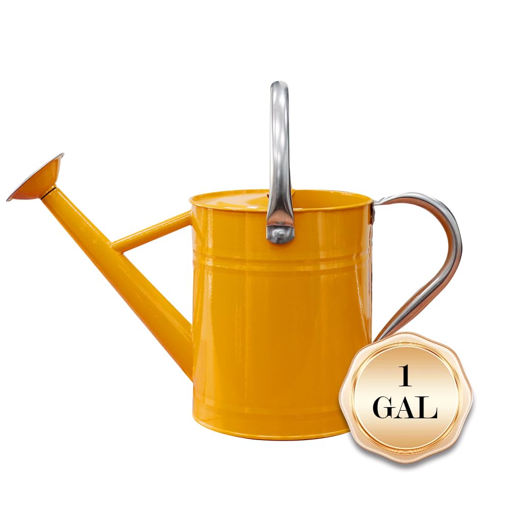 yourjoy used as decorative planter displaying color and charm for garden decor