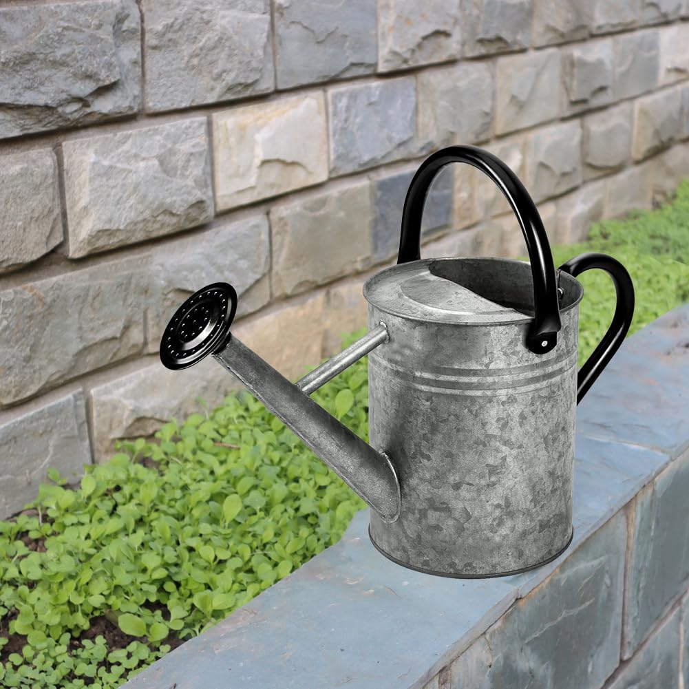 yourjoy metal watering can used as planter displaying decorative versatility