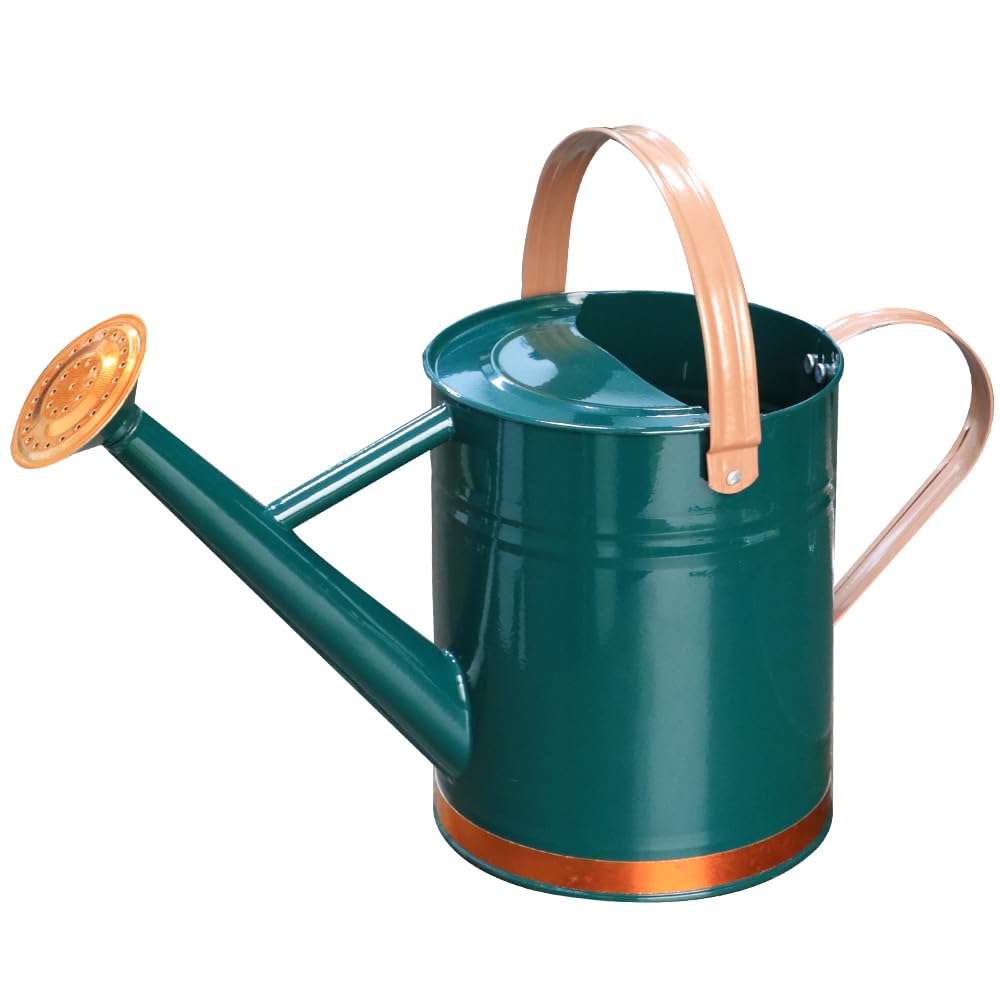 yourjoy front view of GreenB can showing shape and ergonomic handle benefit easy pouring