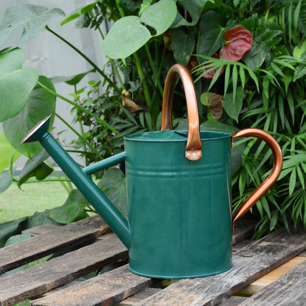 yourjoy pouring in garden showing controlled flow and gentle watering benefit