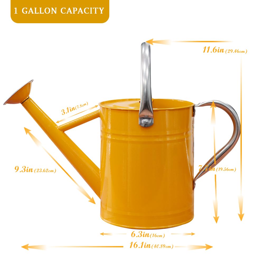 yourjoy size comparison with hand holding can showing comfortable one-gallon capacity