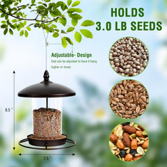 Youvip metal bird feeder perch 360 view illustrating multiple birds feeding at once