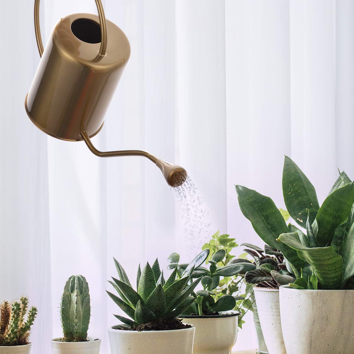 Yowon watering can in use indoors watering potted plants without dripping