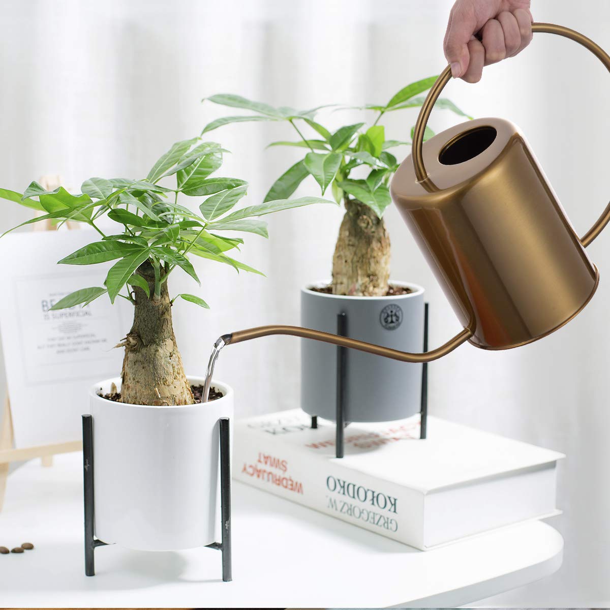 Yowon watering can beside a hand for scale to show manageable 68oz capacity