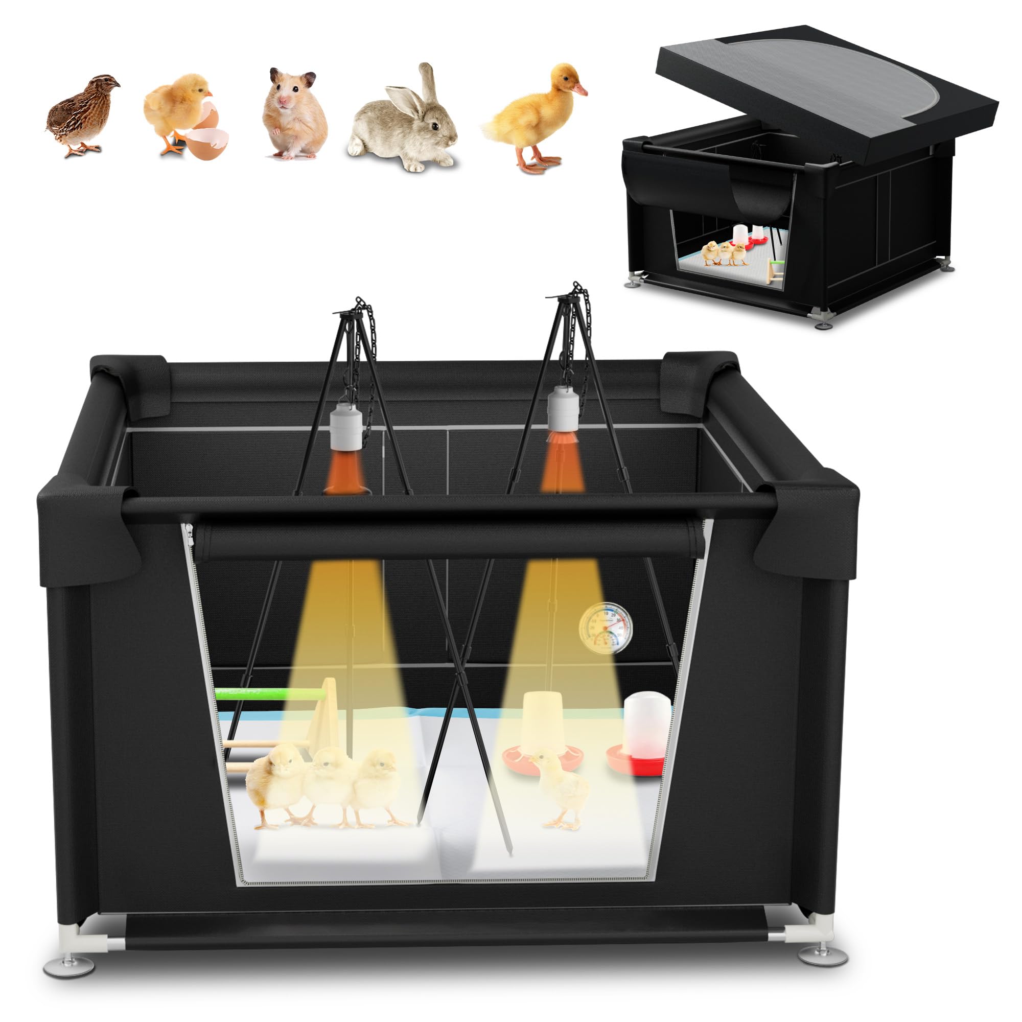 YRKUOEFD brooder box front view showing roomy interior and secure design