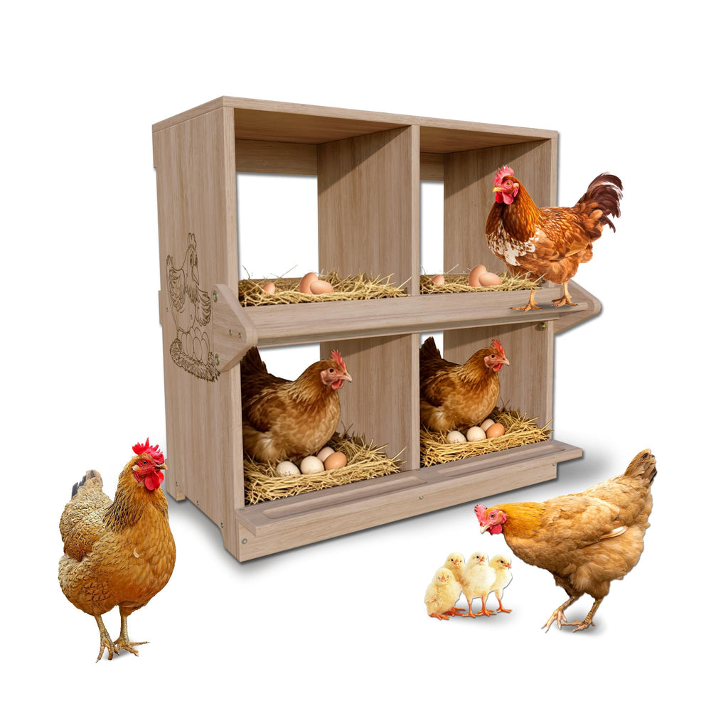YRKUOEFD front view two-tier nesting box shows protected laying spaces and easy access